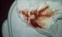20151011_122635.jpg