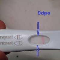 Gig9dpo2.jpg