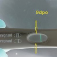 Gig9dpo2Neg.jpg