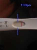 Gig10dpo3.jpg