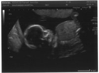 20w Scan4.jpg