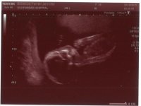 20w Scan1.jpg