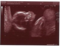 20w Scan3.jpg