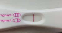 8dpo tweaked.jpg