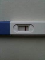 11 dpo b.jpg