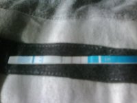 pics of phone new sort aid 003.jpg