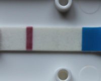 dark test 1.jpg