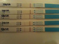 Sophia's tests.jpg