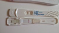 6dp5dt1.jpg