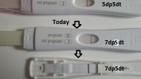 7dp5dt.jpg