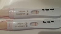 8dp5dt1.jpg