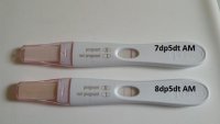 8dp5dt2.jpg