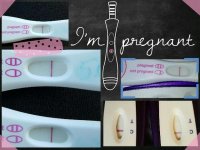 8ce3a77c-eae2-4b20-985c-81088e14b188.jpg