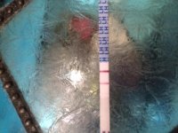 IMG_0870.jpg