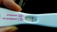 8dpo.jpg
