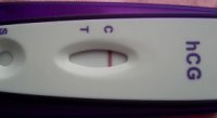 6dpo Dec 20 2015_opt.jpg