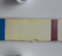test1.jpg