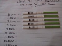 9dpo2.jpg