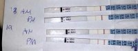 opk_01-21-16_cropped.jpg