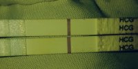 2016-01-24_11.40.38-1.jpg
