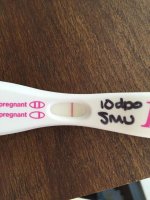10dpo frer smu.jpg