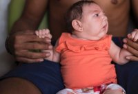 Zika1.jpg
