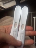 preg????.jpg