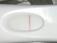 7DPO.jpg