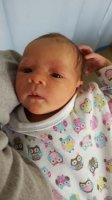 IMG-20160208-WA0010.jpg