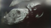 IMAG2272_1.jpg