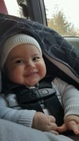20160217_150424-240x427.jpg