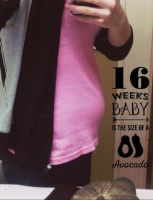 16 weeks 1.png