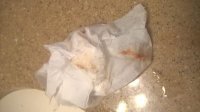 WP_20160222_17_24_45_Pro.jpg