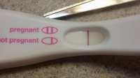 frer.jpg
