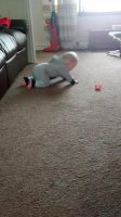 IMG_20160221_111222105.jpg