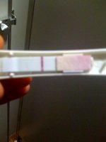 15dpo_smu1.jpg