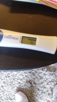 pregnancy te 011.jpg