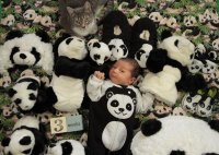 3weeks with kitten small.jpg