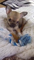 IMG_20160316_104426.jpg