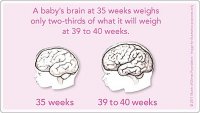 MarchofDimes.jpg