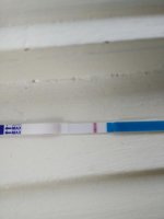 IMG_20160401_073347.jpg