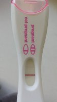 frer.jpg