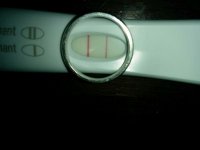 IMG_20160404_200532.jpg
