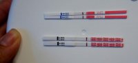 DSC02509.jpg