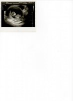 scan 001.jpg