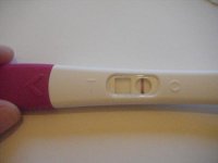 11dpo_8.jpg