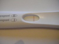 11dpo_7.jpg