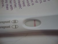 frer test.JPG