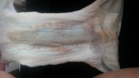 20160513_171747.jpg