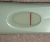 FRER.jpg